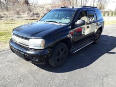 BUY CHEVROLET TRAILBLAZER 2007 4WD 4DR LS, Fairway Auto Auction