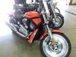 2005 HARLEY DAVIDSON V ROD CRUISER 