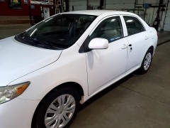 BUY TOYOTA COROLLA 2010 4DR SDN AUTO LE (NATL), Fairway Auto Auction
